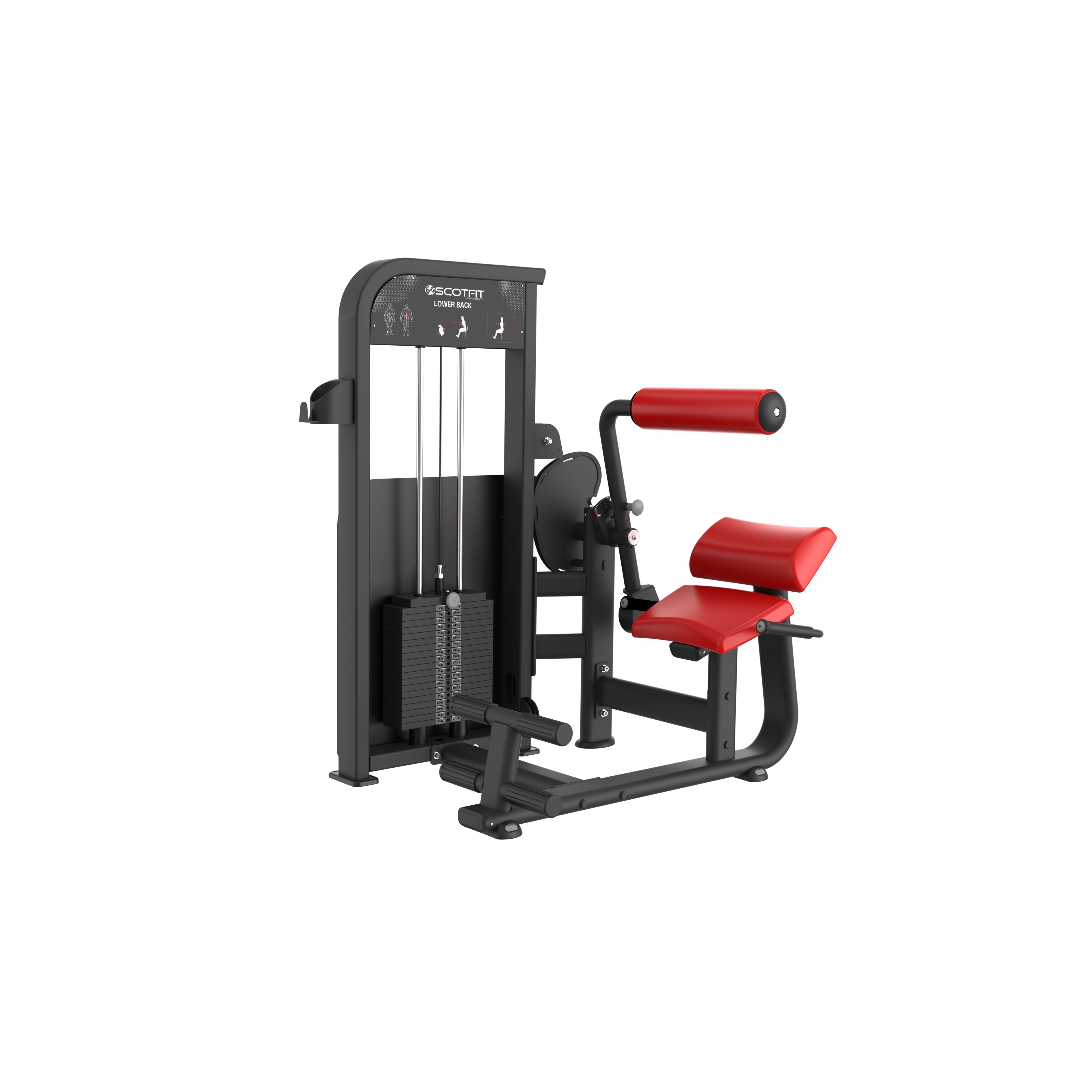 Atomic Series Lower Back  x 100 kg