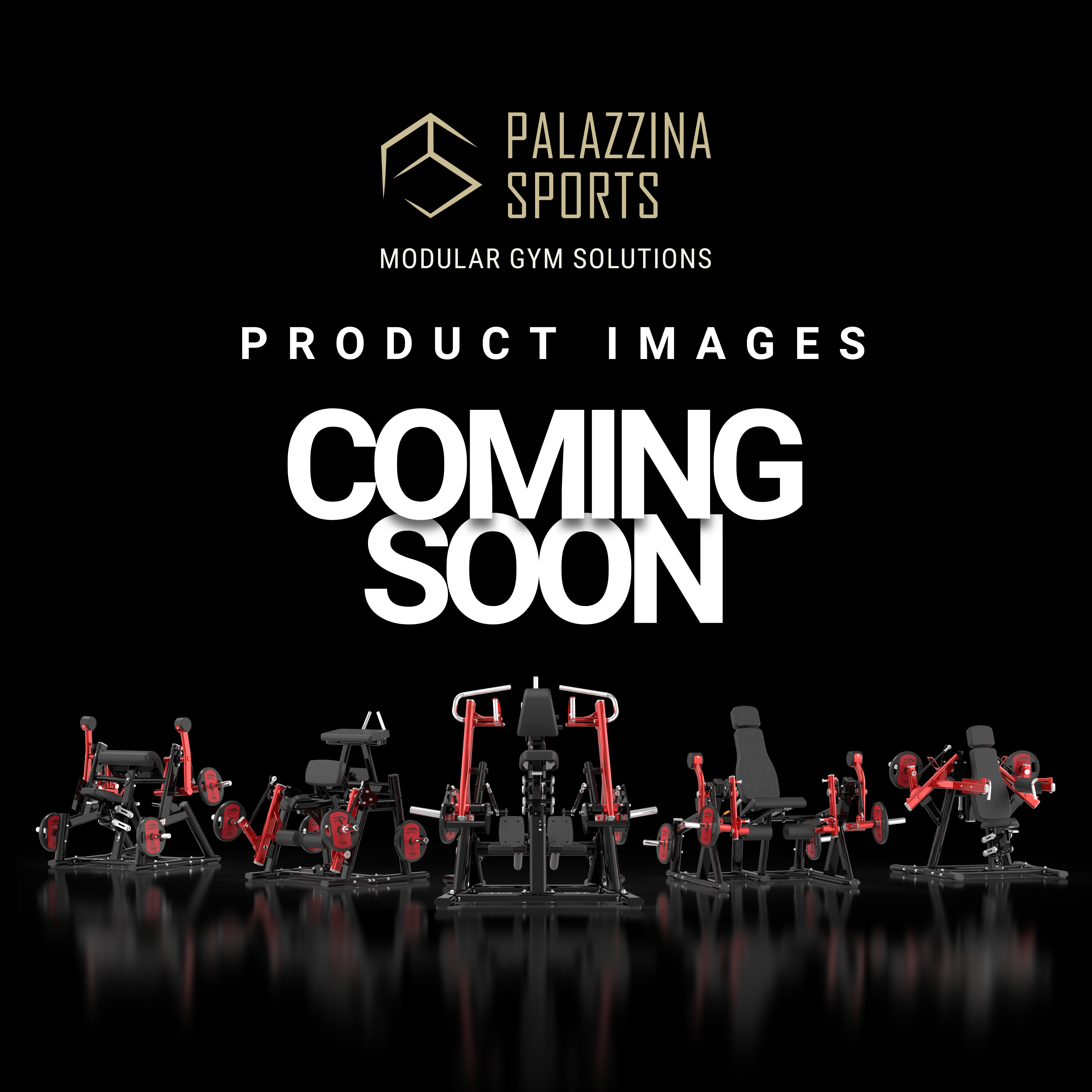 Adjustable Functional Trainer | Cable Pulley Free-standing