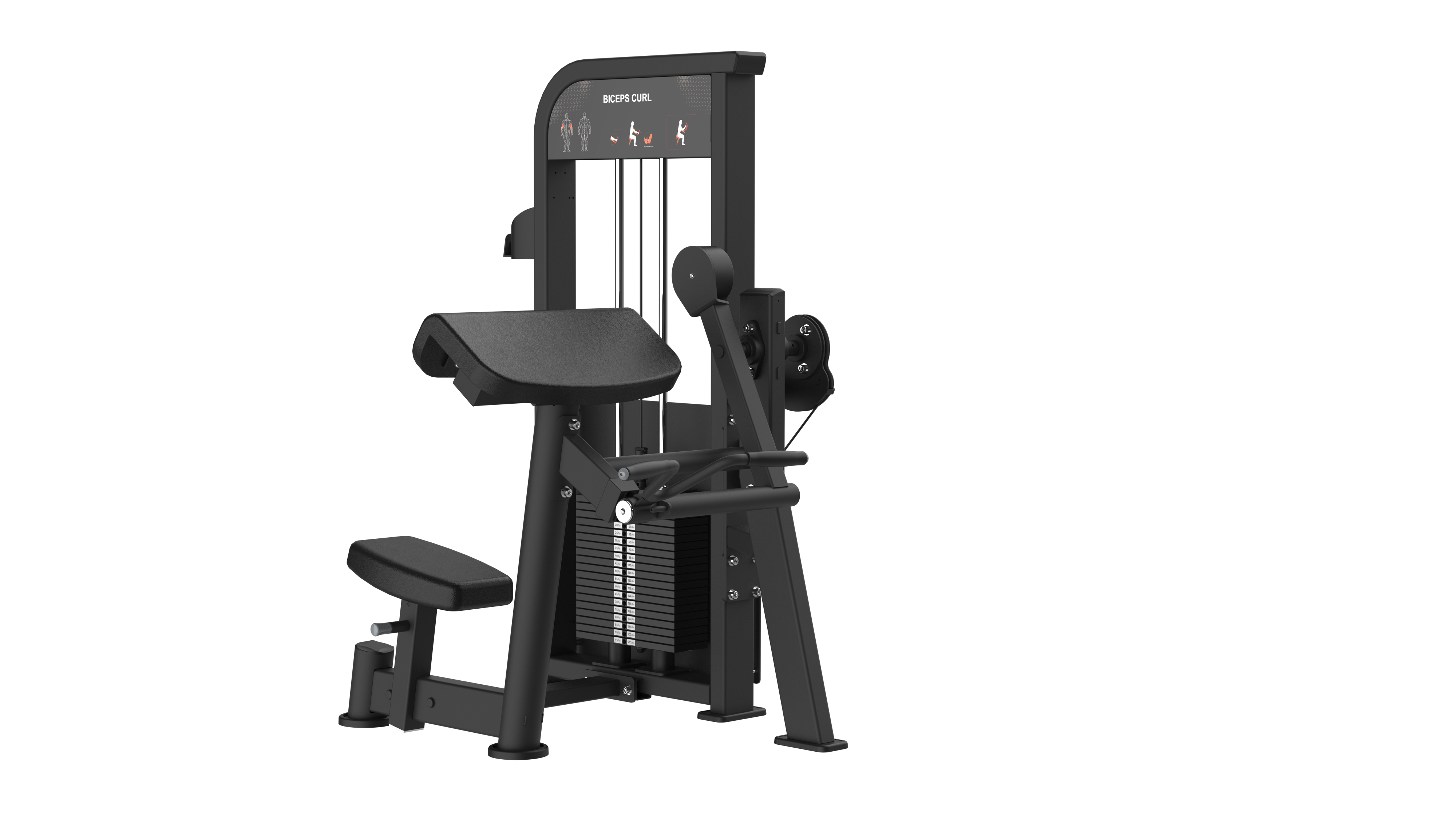 Atomic Series Bicep Curl | Bizepsmaschine x 80kg
